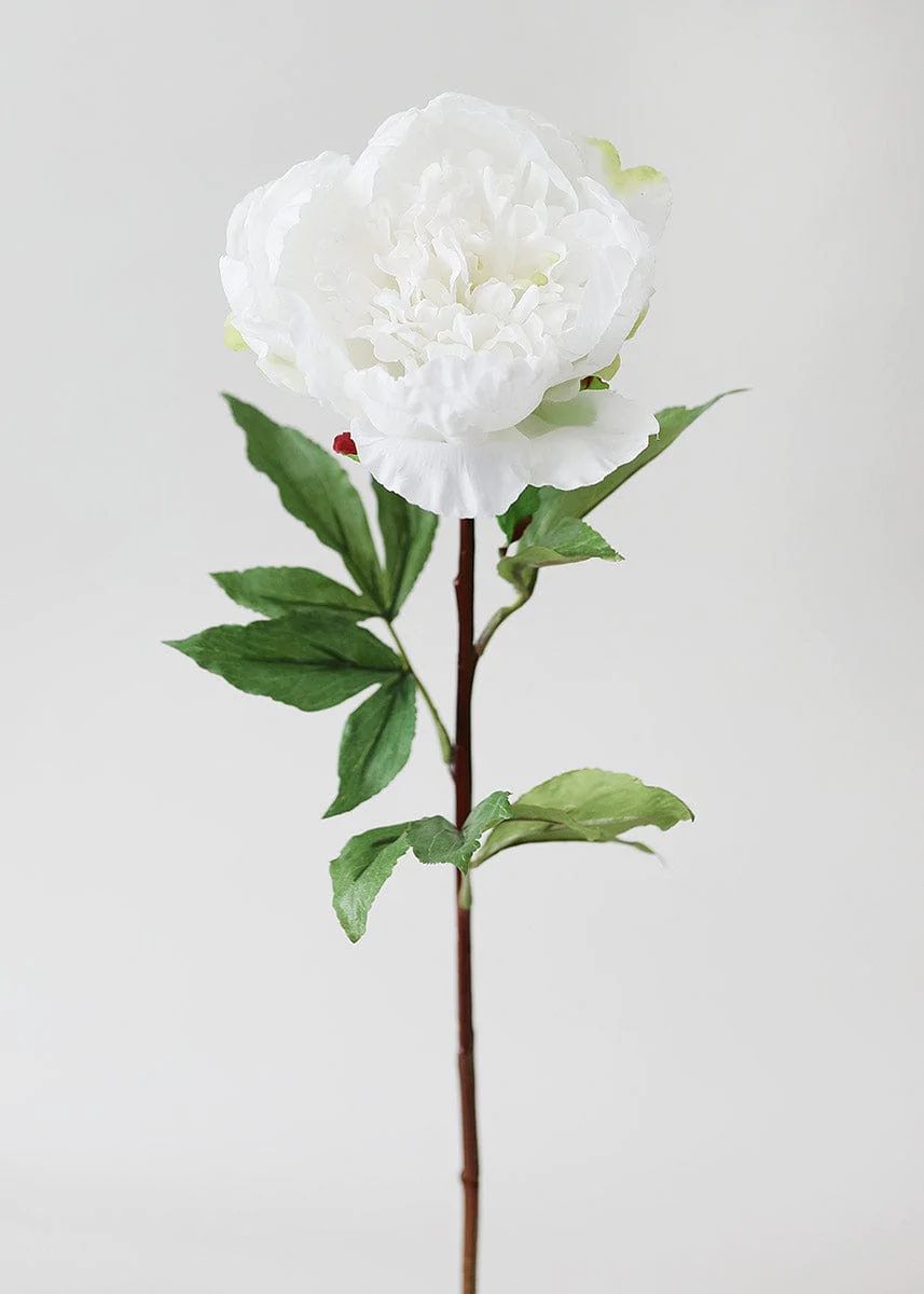 Natural Touch Peony in Cream White - 30 | Afloral (US)