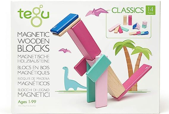 14 Piece Tegu Magnetic Wooden Block Set, Blossom | Amazon (US)