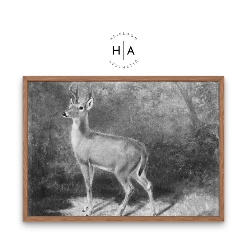 Deer Sketch Print/ Vintage Art/ Printable Vintage Art/ Nursery - Etsy | Etsy (US)