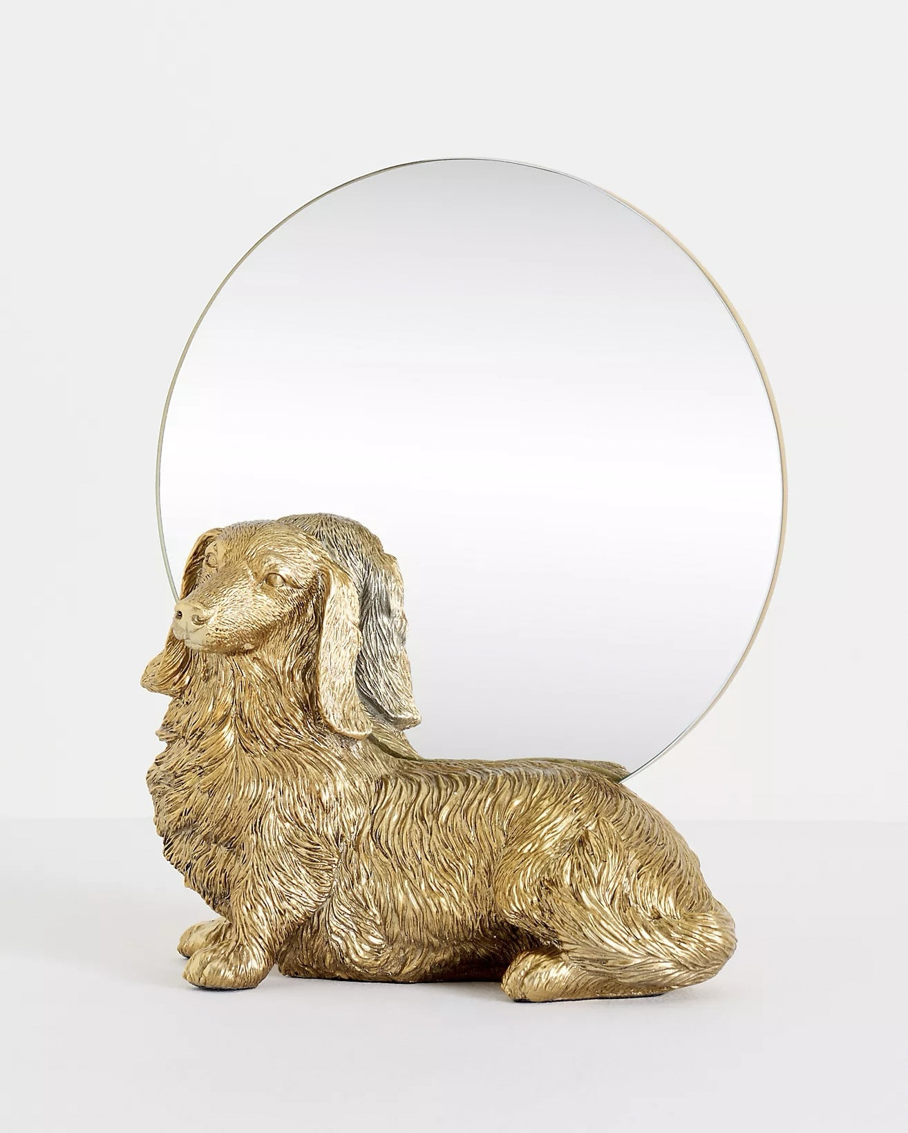 New dachshund vanity mirror!

.

.

.

.

( dachshund finds, dachshund decor, dachshund mom, wiener dog finds, sausage dog finds, doxie mom, long haired dachshund gift, gifts for the dachshund lover, accent mirror, vanity inspo, anthropologie dachshund mirror, anthro home, anthropologie dachshund finds, dachshund home decor, dog mom, dog decor, dog mirror, #dachshund #anthropologie #vanity #mirror #dogmom )

#LTKBeauty #LTKHome #LTKgrwm
