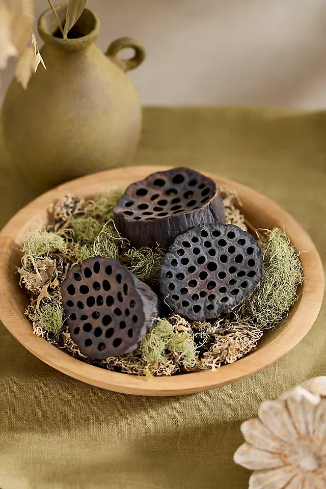 Dried Lotus Pod Bunch in Brown at Terrain | Terrain