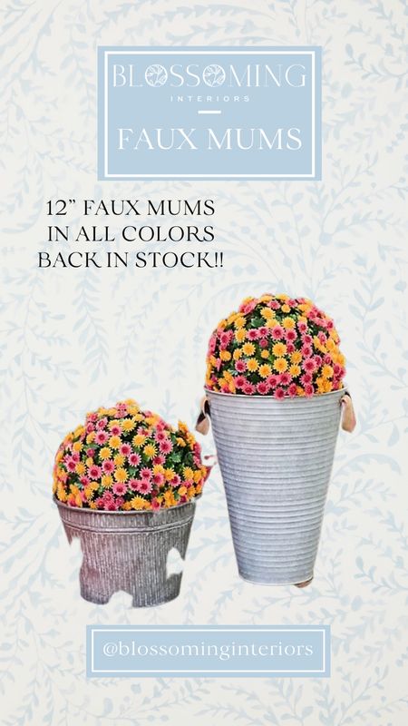 12” Faux Mums available in all colors now and moving fast. Only $49.98 for the set of two! And remember they break in half if you want. 

#LTKFind #LTKhome #LTKSeasonal