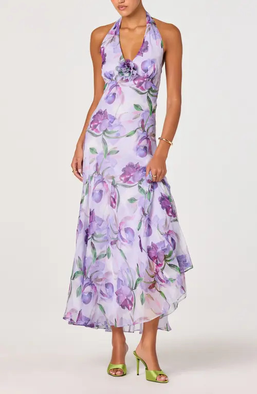 ASTR the Label Yasmen Floral Plunge Halter Neck Maxi Dress in Purple Floral at Nordstrom, Size Medium | Nordstrom