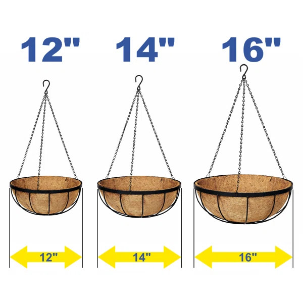 Set of 5 - Delania Coconut Hanging Basket 12-Inch (Set of 5) | Wayfair North America