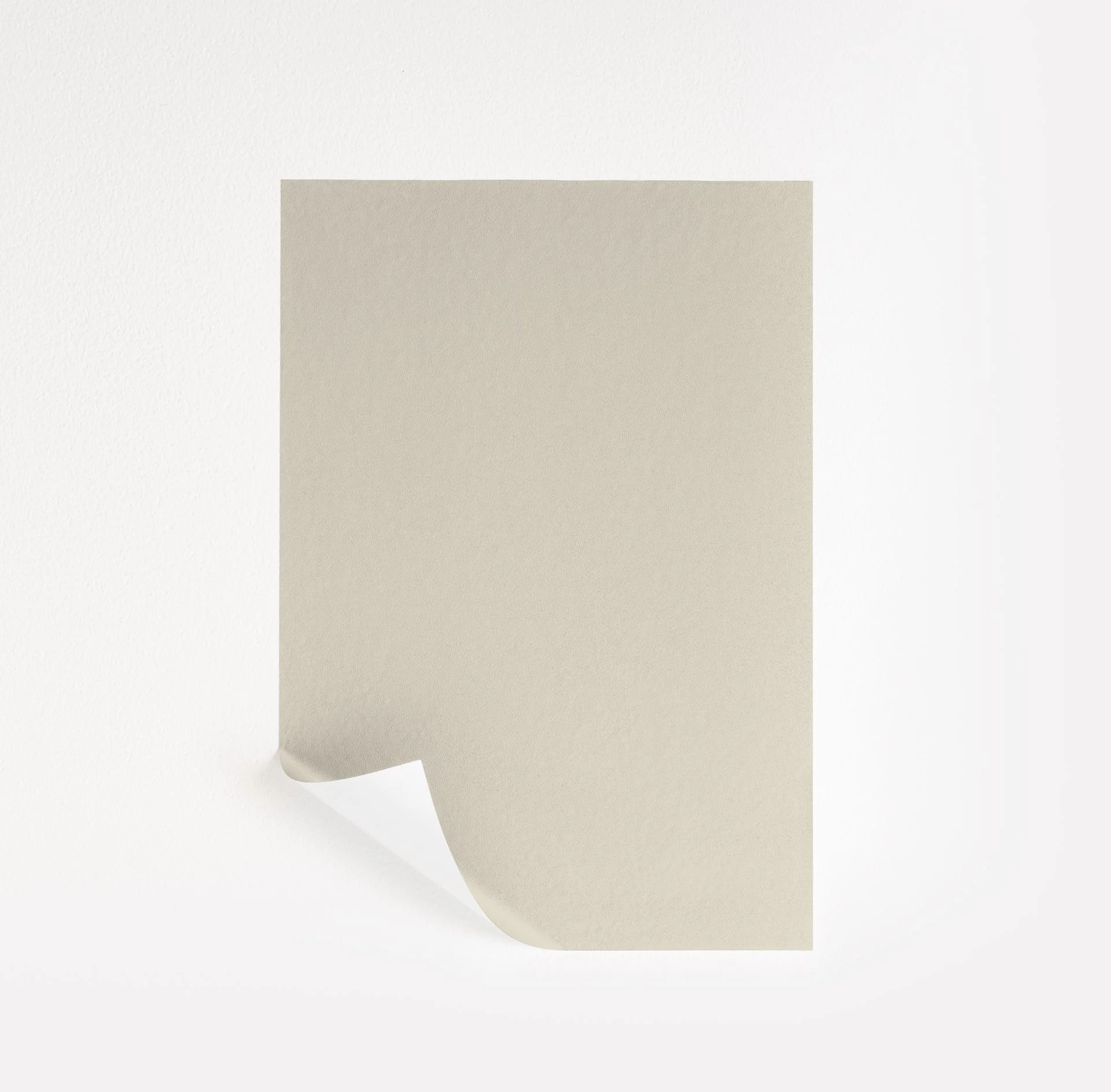Neutral Ground Paint Sample by Sherwin-Williams (7568) | Peel & Stick Paint Sample | Samplize