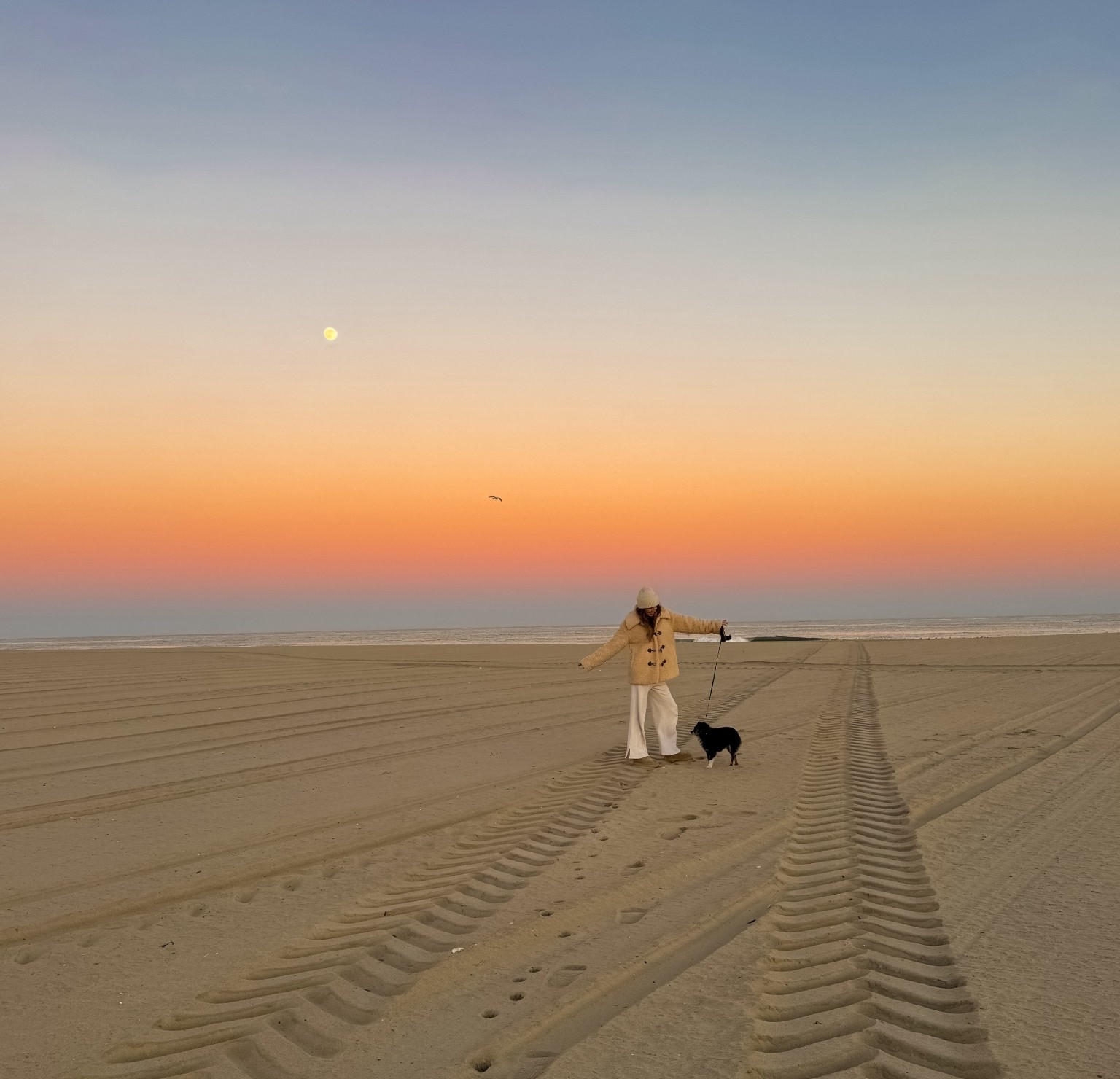 Cozy beach sunset dog walk with my baby

#wintercoat #coat #wideleg #sweatpants #cozyoutfit 

#LTKSeasonal #LTKSaleAlert #LTKdayinmylife