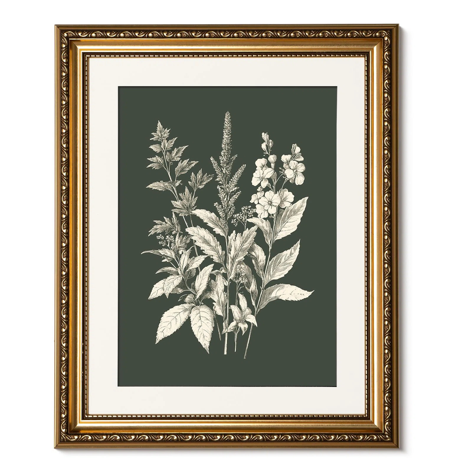 Gold Framed Canvas Wall Art, Botanical Floral Illustration Art Prints, Modern Minimalist Plant De... | Wayfair North America