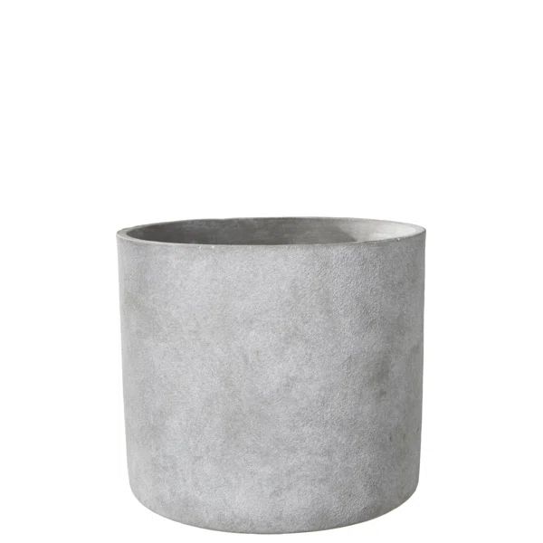 Naidelin Cement Pot Planter | Wayfair North America