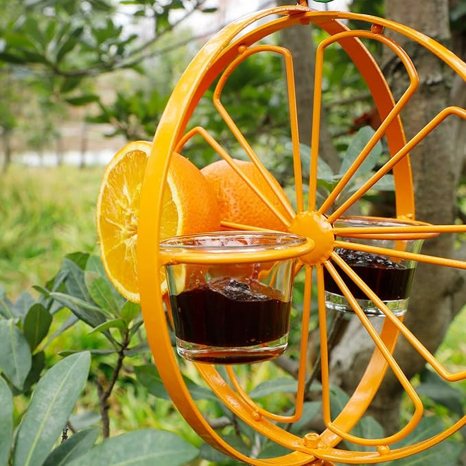 FORUP Oriole Bird Feeder for Outdoors Jelly and Oranges, Orange Fruit Oriole Jelly Bird Feeder, O... | Amazon (US)
