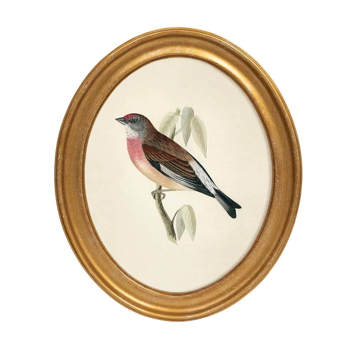 Belle Maison 10"" x 12"" Oval Bird Wall Art Under Glass, Gold | Kohl's