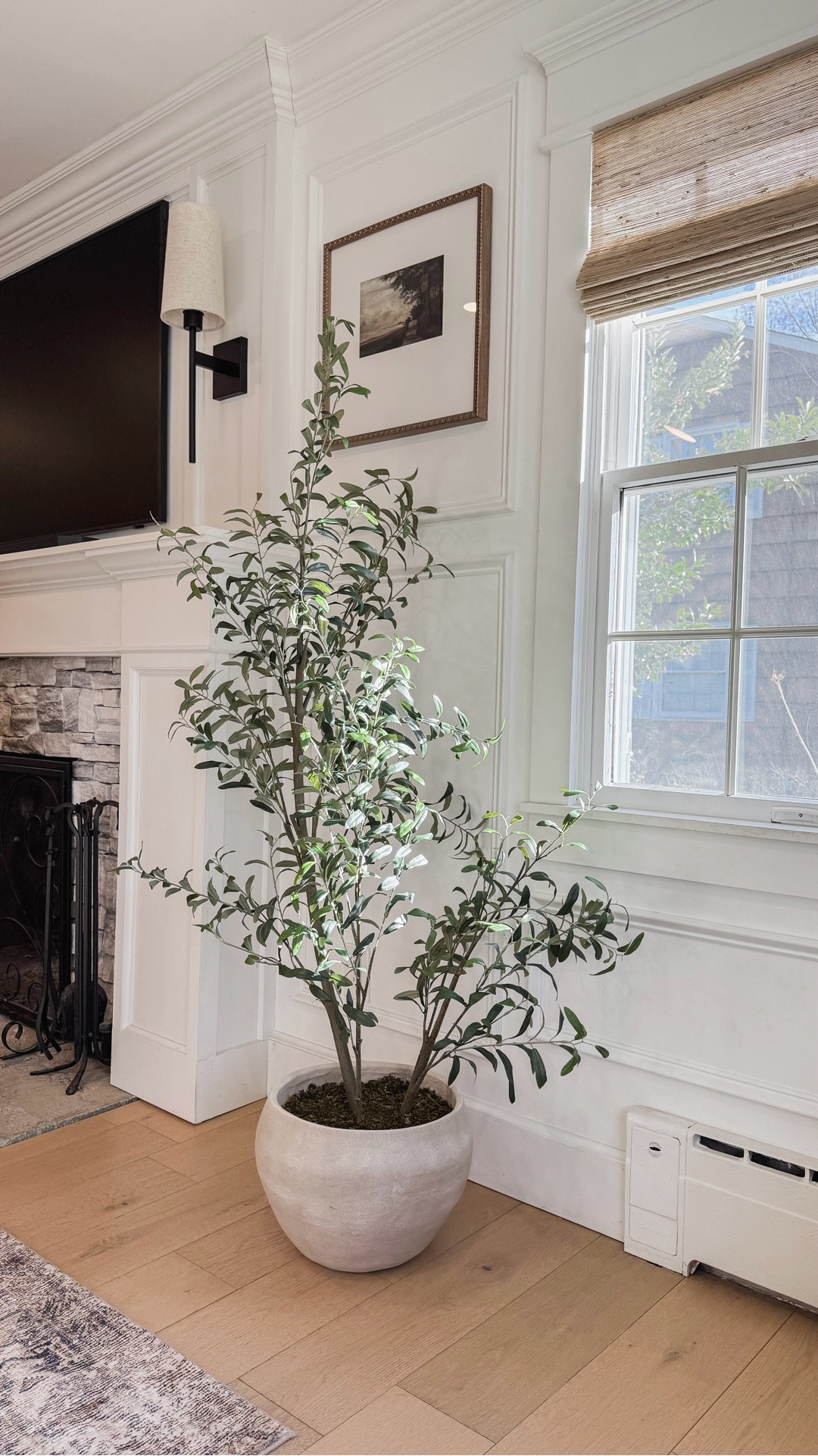 Limited stock - check for local pickup! 
I’m obsessed with this potted faux olive tree! It’s so realistic and beautiful and it fits the organic modern style in my home. ✨

home decor | living room | interiors | affordable decor | greenery 



#LTKHome #LTKSaleAlert #LTKvlog