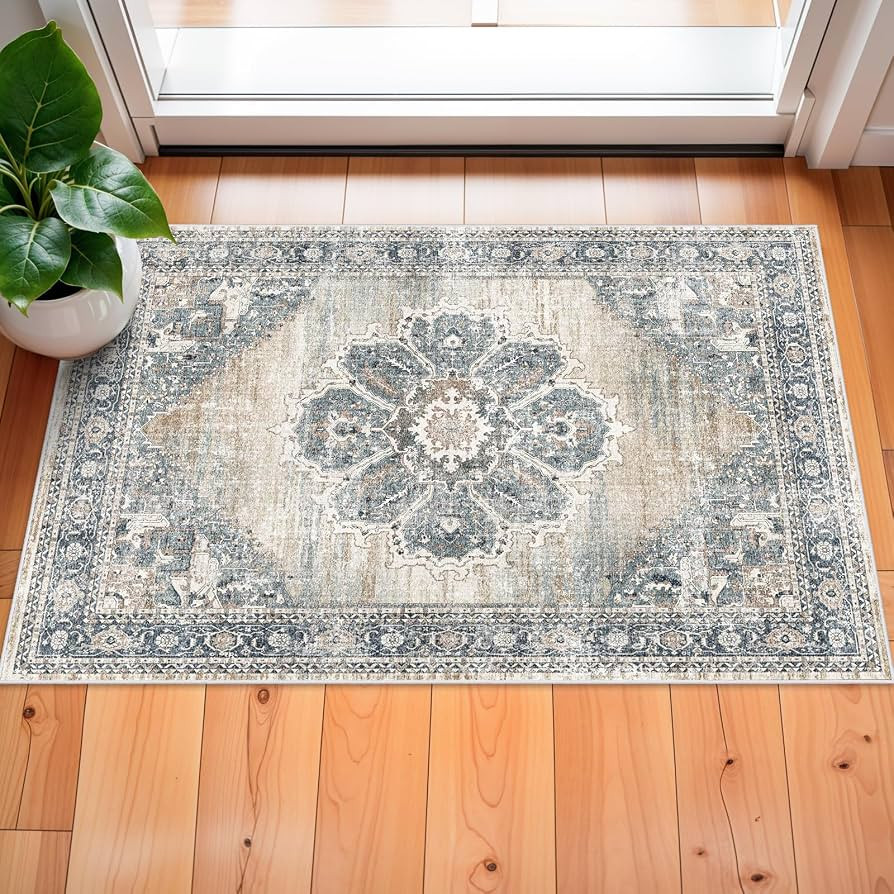 Washable 2x3 Entryway Area Rug: Non Slip Door Mat Indoor Vintage Soft Kitchen Floor Mat with Rubb... | Amazon (US)