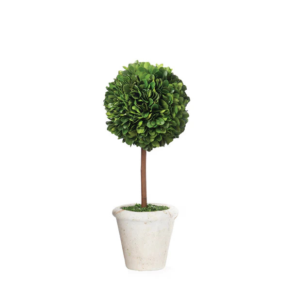 Mini Boxwood Topiary | Caitlin Wilson Design