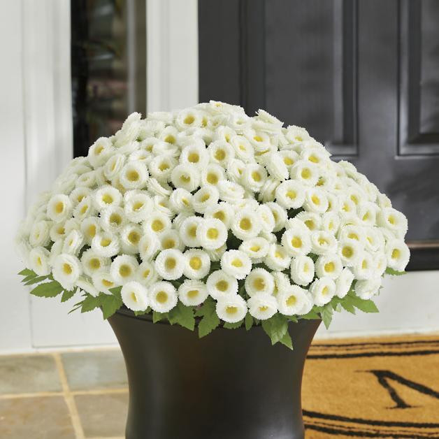 Mum Urn Filler | Grandin Road | Grandin Road