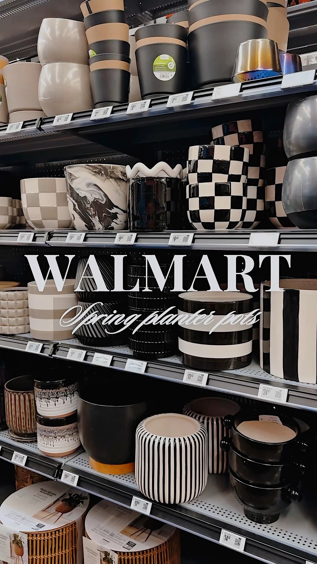 ☀️🌵✨🌱

#LTKHome #LTKU #LTKSeasonal