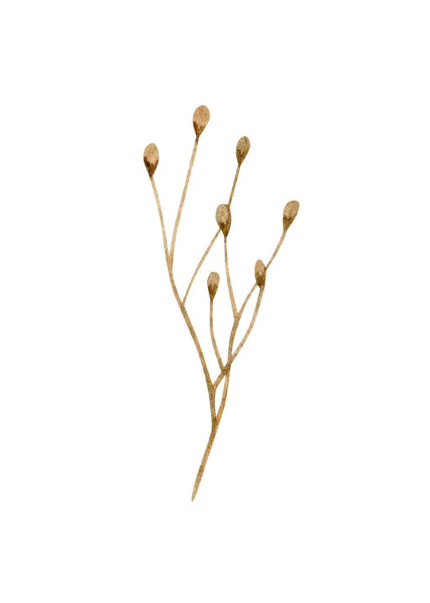 Autumn Bundle III | Collection Prints