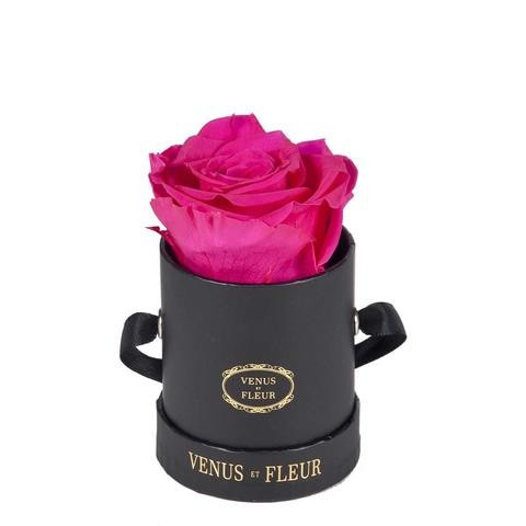 Le Mini™ Round | Venus ET Fleur