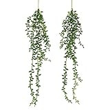 Meneco Artificial Hanging Succulent Plants Faux String of Pearls Plants Unpotted Set of 2 | Amazon (US)