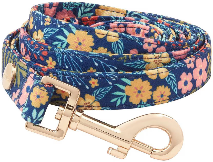 FRISCO Fashion Leash, Tropical Floral, MD - Length: 6-ft, Width: 3/4-in - Chewy.com | Chewy.com