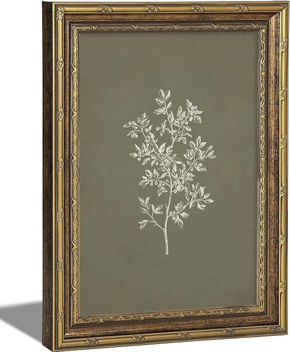 Vintage Framed Olive Branch Wall Art - Retro Gold Frame Botanical Illustration Print Picture - Da... | Amazon (US)