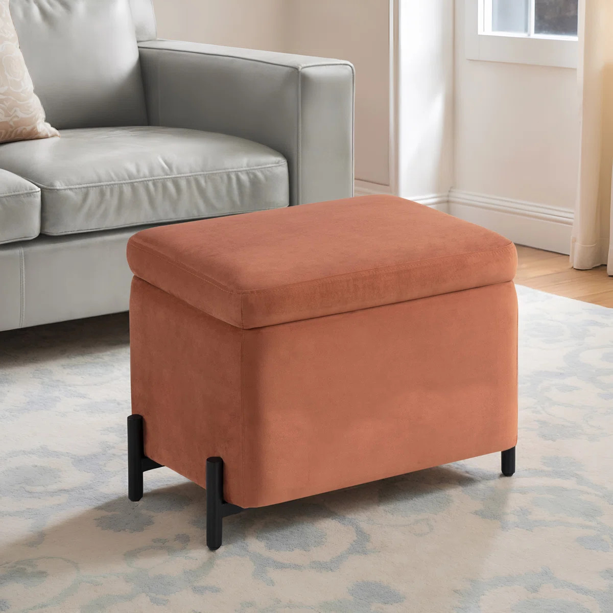 Delton 24" Flip-Tray Small Storage Ottoman | Wayfair North America