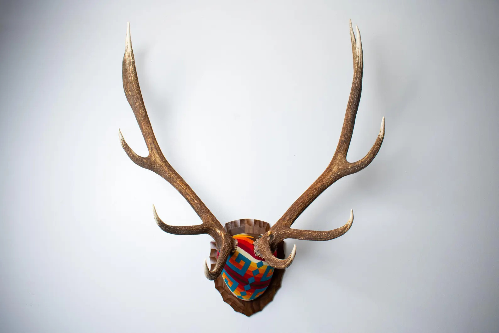 Elk Antler Mount - Elk Wrapped in Pendleton® Jacquard with Walnut Arrowhead Plaque for Colorful ... | Etsy (Global)