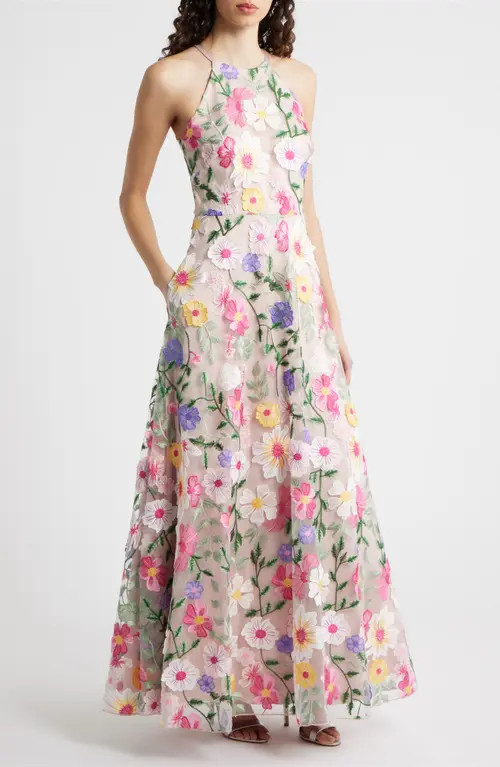 Eliza J Embroidered Sleeveless Gown in Blush Multi at Nordstrom, Size 12 | Nordstrom