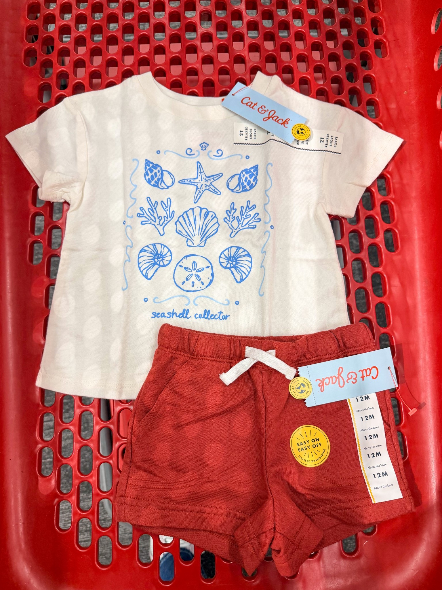 New basic faves for toddler girls 🫶🏽

#LTKKids #LTKSeasonal