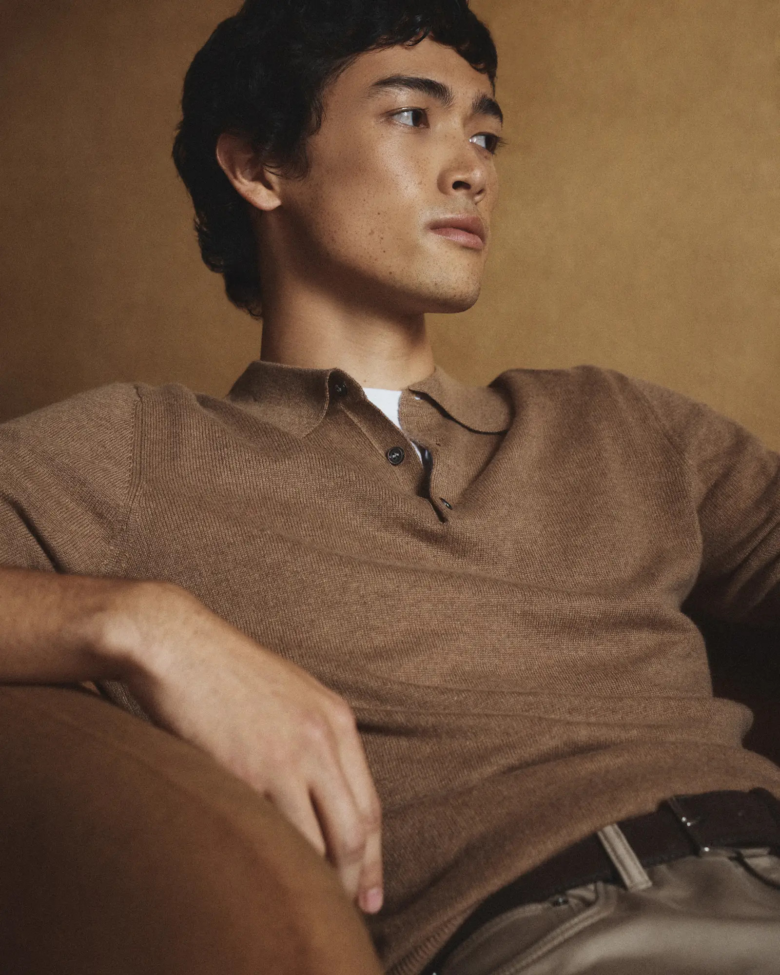 Mongolian Cashmere Polo Sweater | Quince