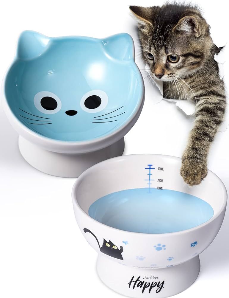 AISBUGUR Ceramic Cat Bowls Raised Cat Food Bowl 15° Tilted Protect Cat's Spine, Stress Free, Pre... | Amazon (US)