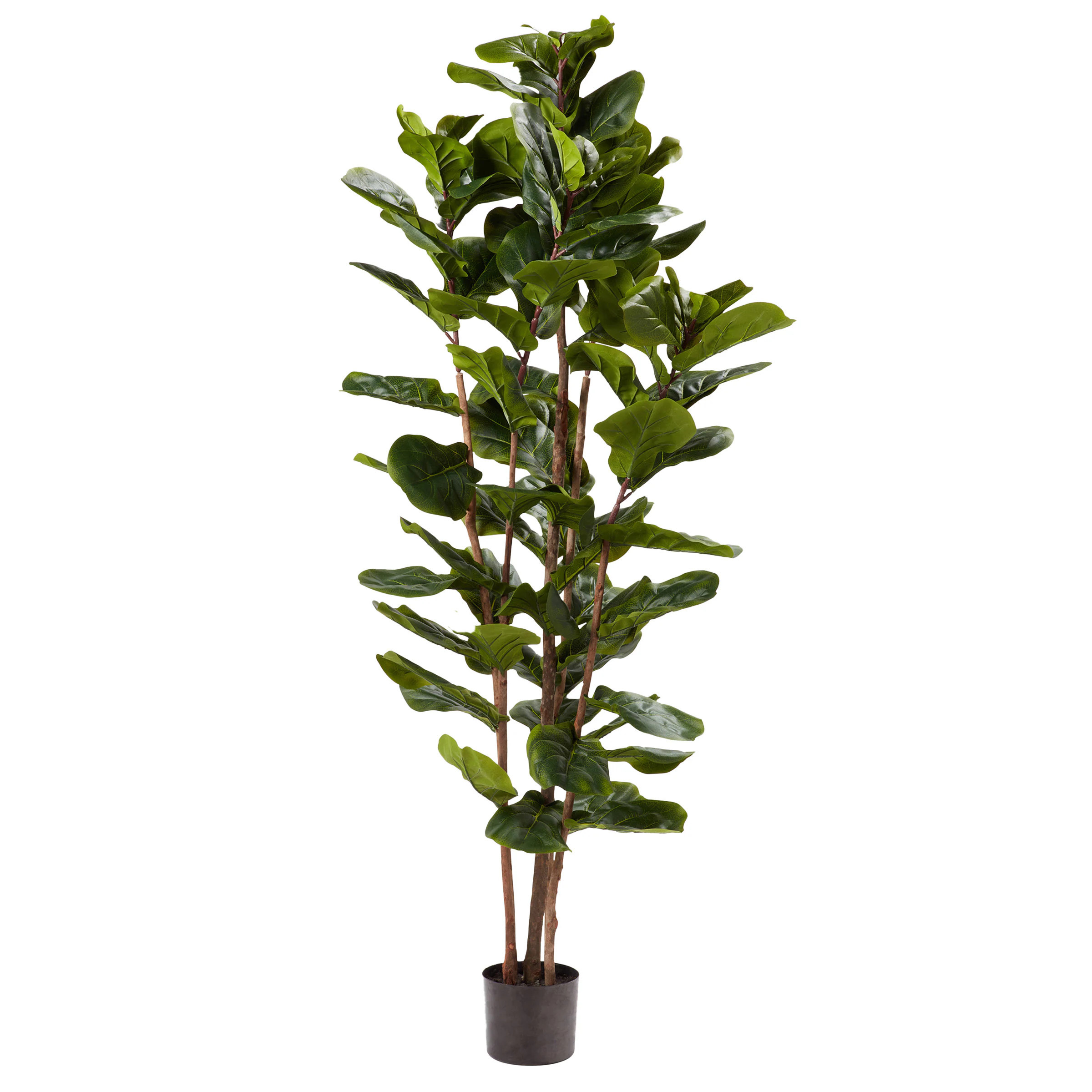 Nature Spring 72-Inches Green Indoor Floor Fiddle Leaf Artificial tree | 640465IDC | Lowe's