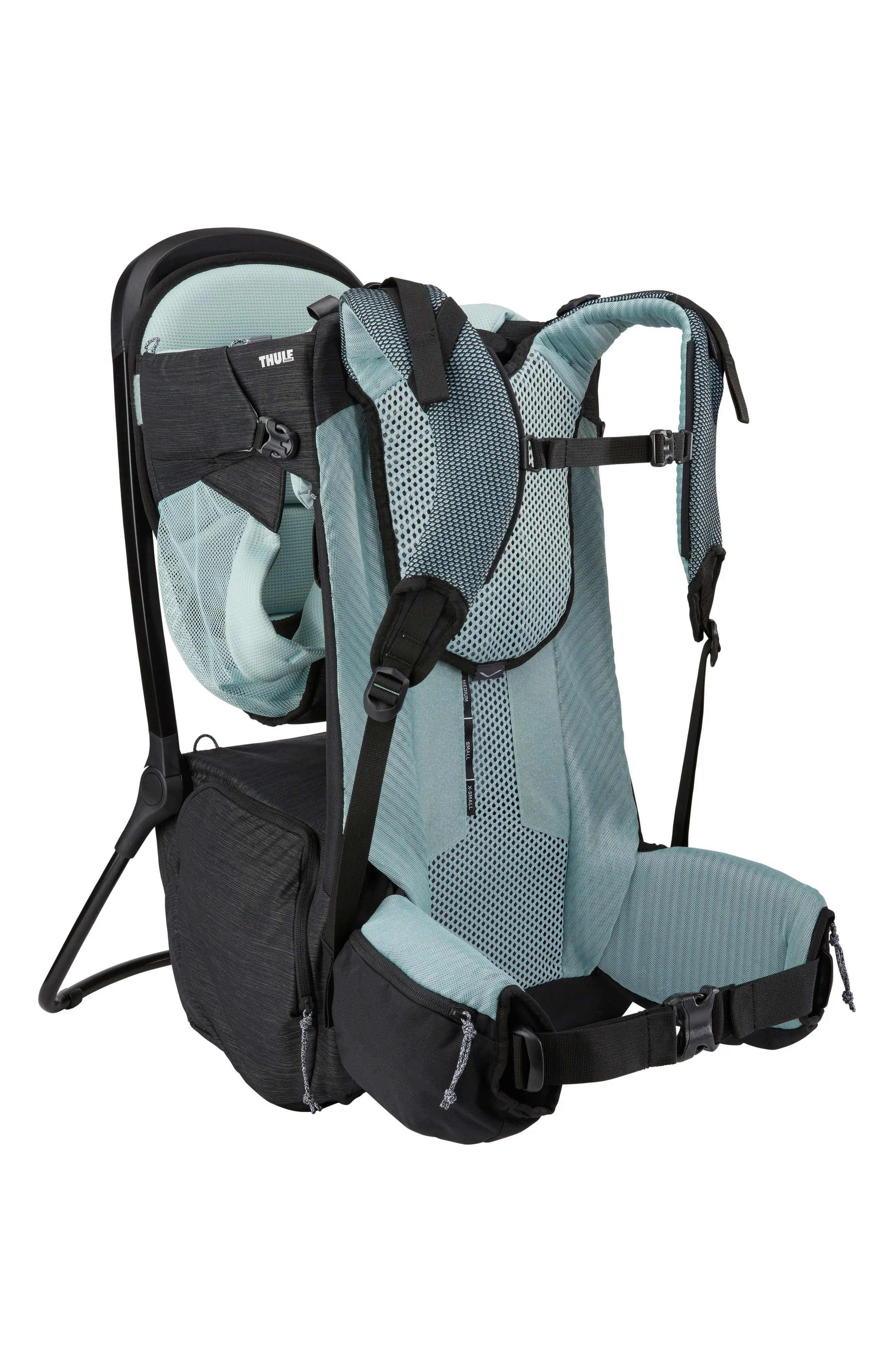Thule Sapling Child Carrier in Black at Nordstrom | Nordstrom