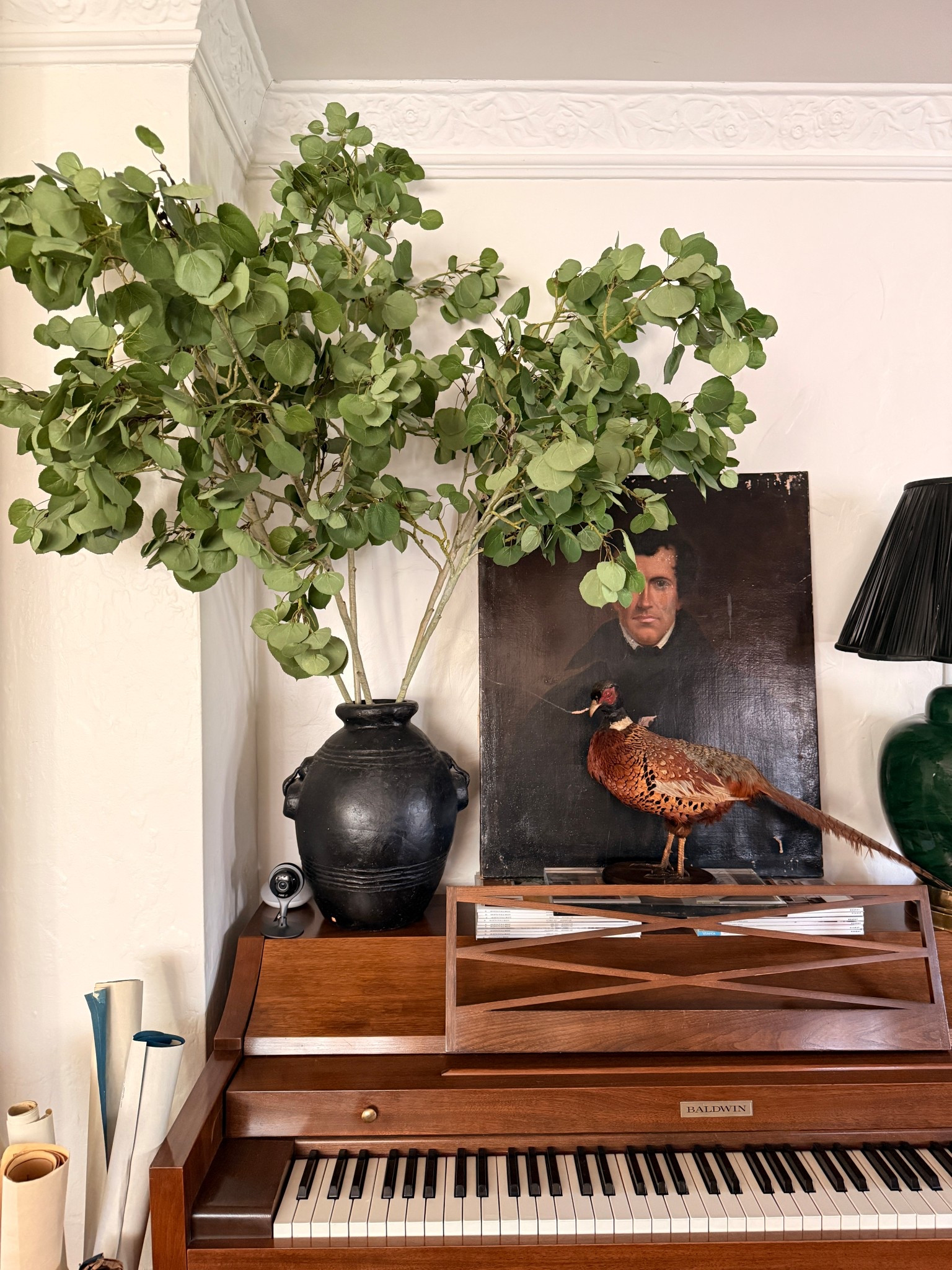 Items, I would buy again: these faux stems!

#LTKHome