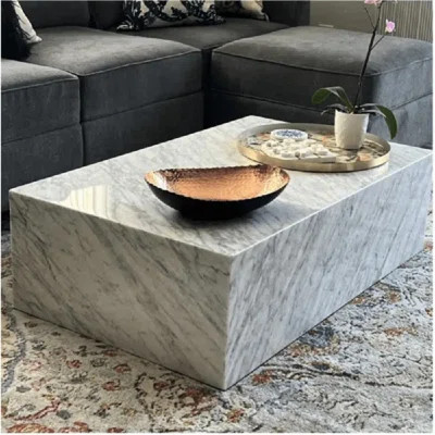 Genuine Marble Coffee Table - Carrara Marble | Wayfair Professional