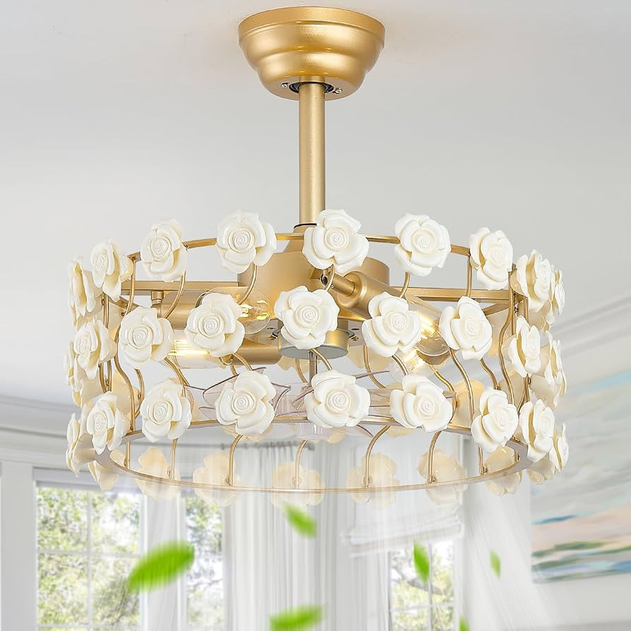 Gold Ceiling Fan Chandelier with Light, Caged Ceiling Fan Flower, 20" Fandelier Ceiling Fans with... | Amazon (US)