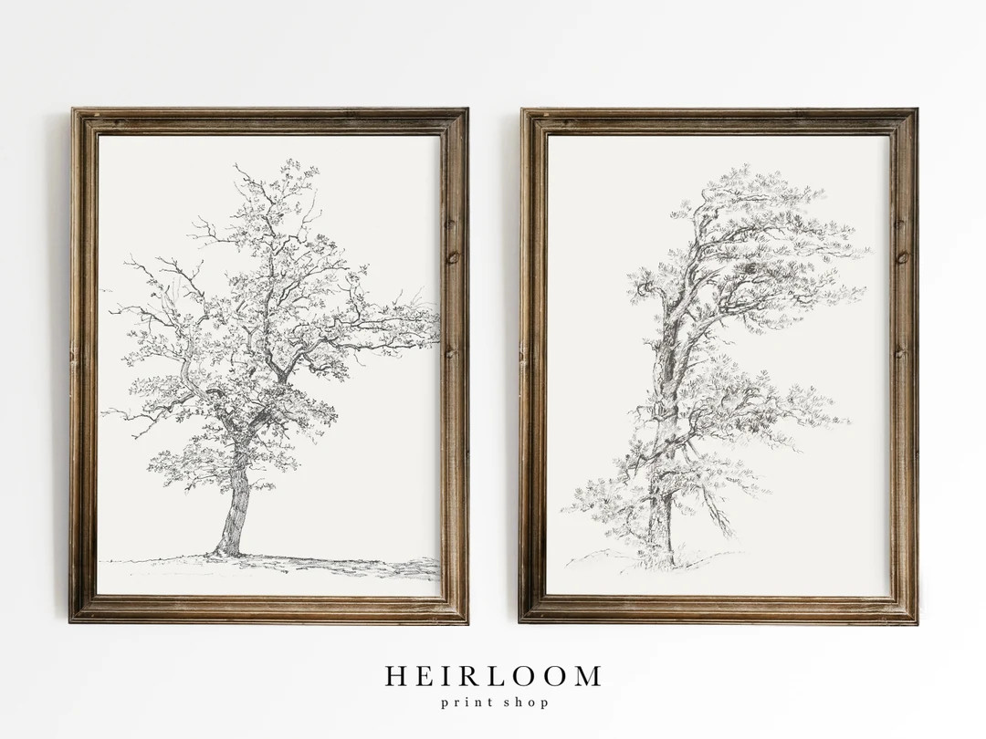 Pencil Sketch  Tree Drawing  Vintage ART PRINTS  Tree - Etsy | Etsy (US)