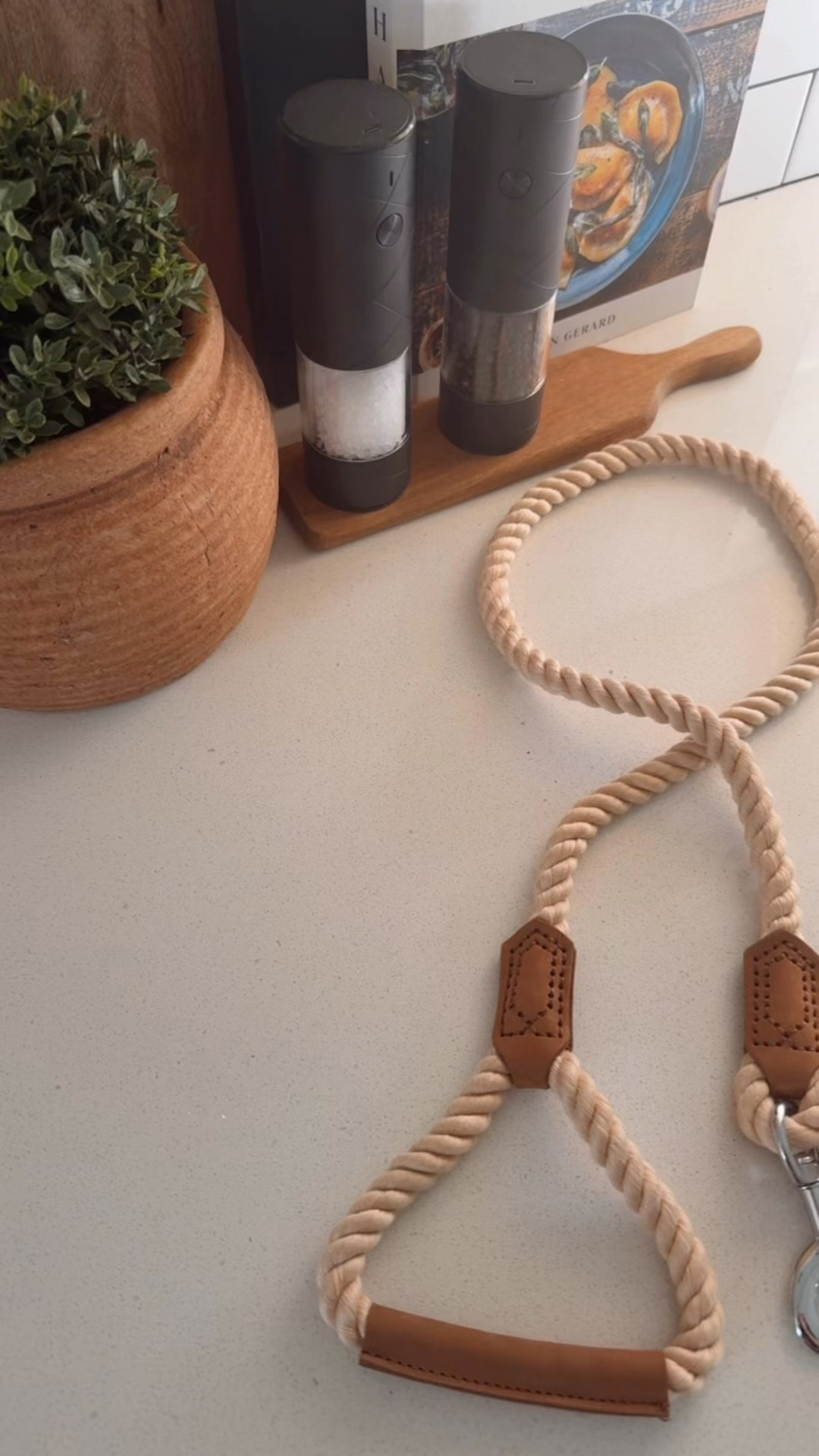 The cutest dog leash and pop bag that ever did exist 🤩

#LTKspring #LTKhaul