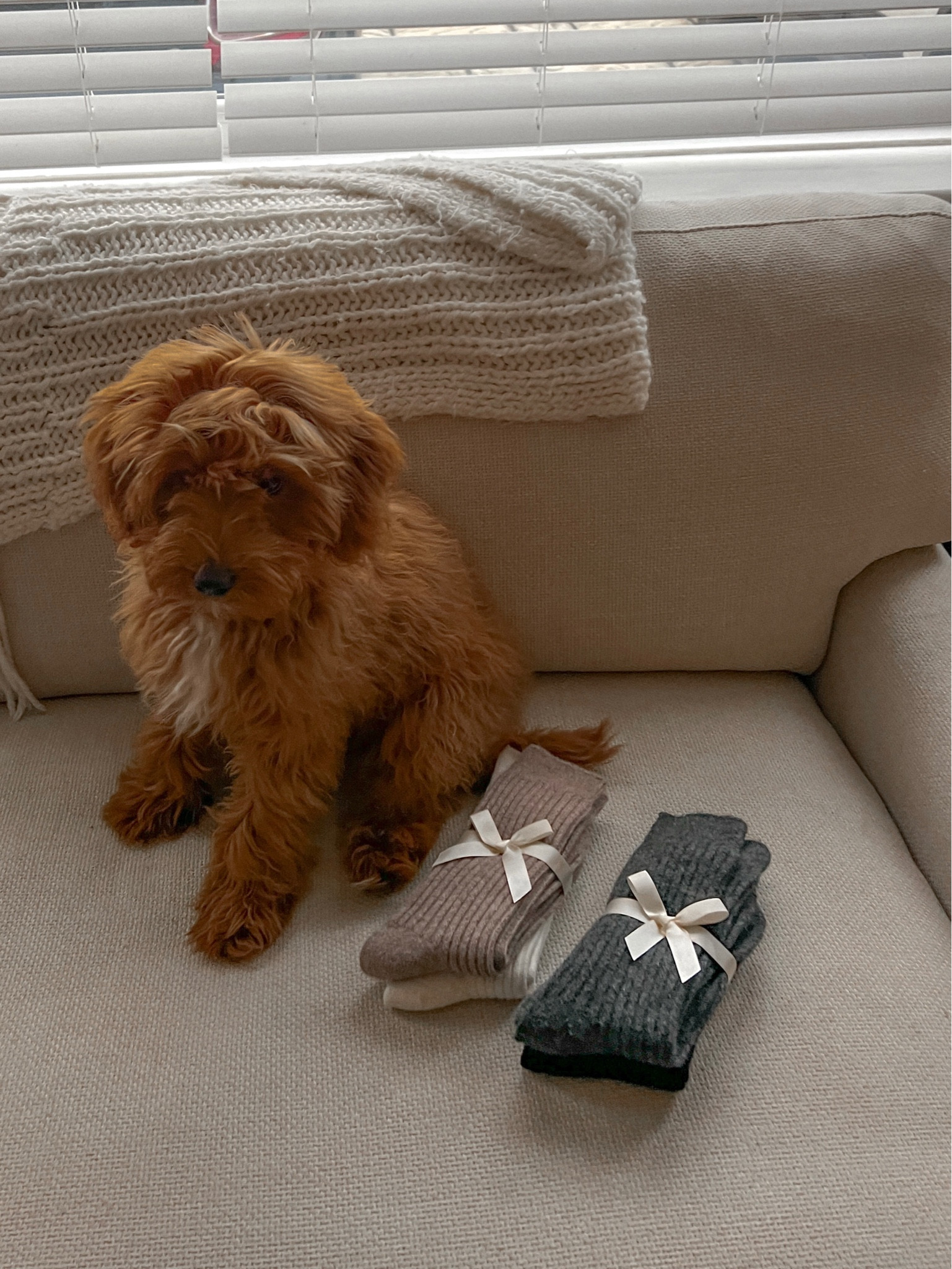 Perfect wool socks for Christmas presents and winter layering 🍂

#LTKgiftguide #LTKwinter #LTKautumn