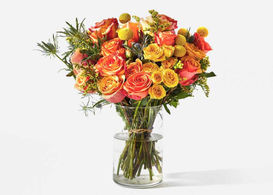 Double The Firecracker | UrbanStems