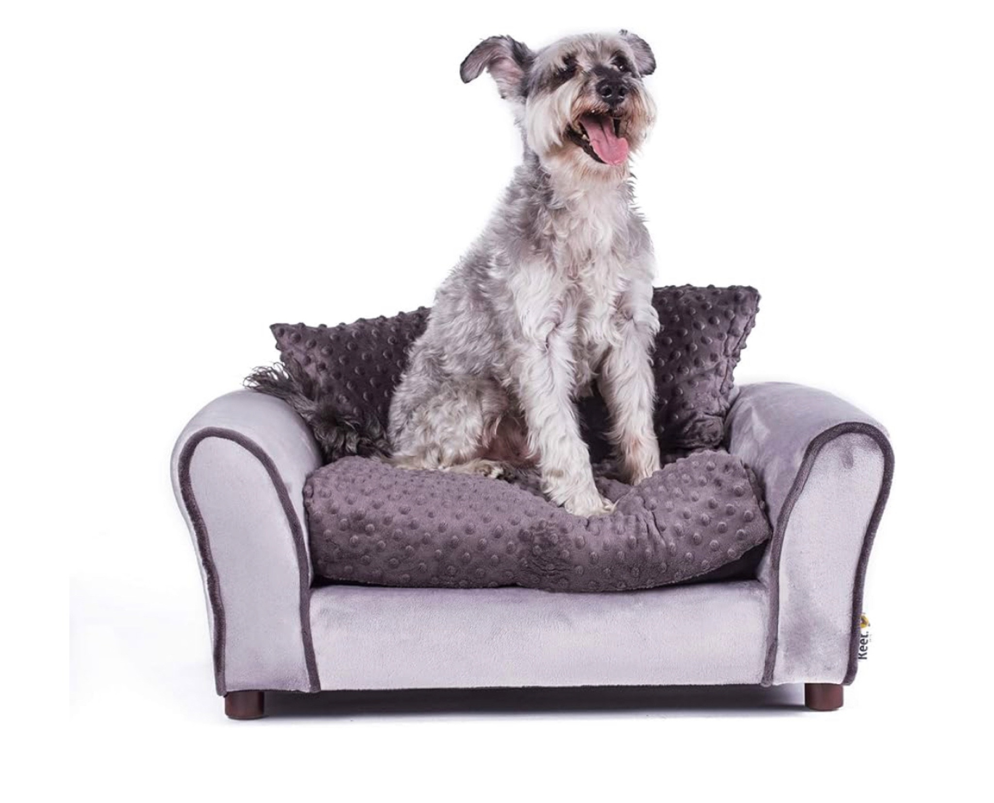 Nico’s favorite dog bed🐶