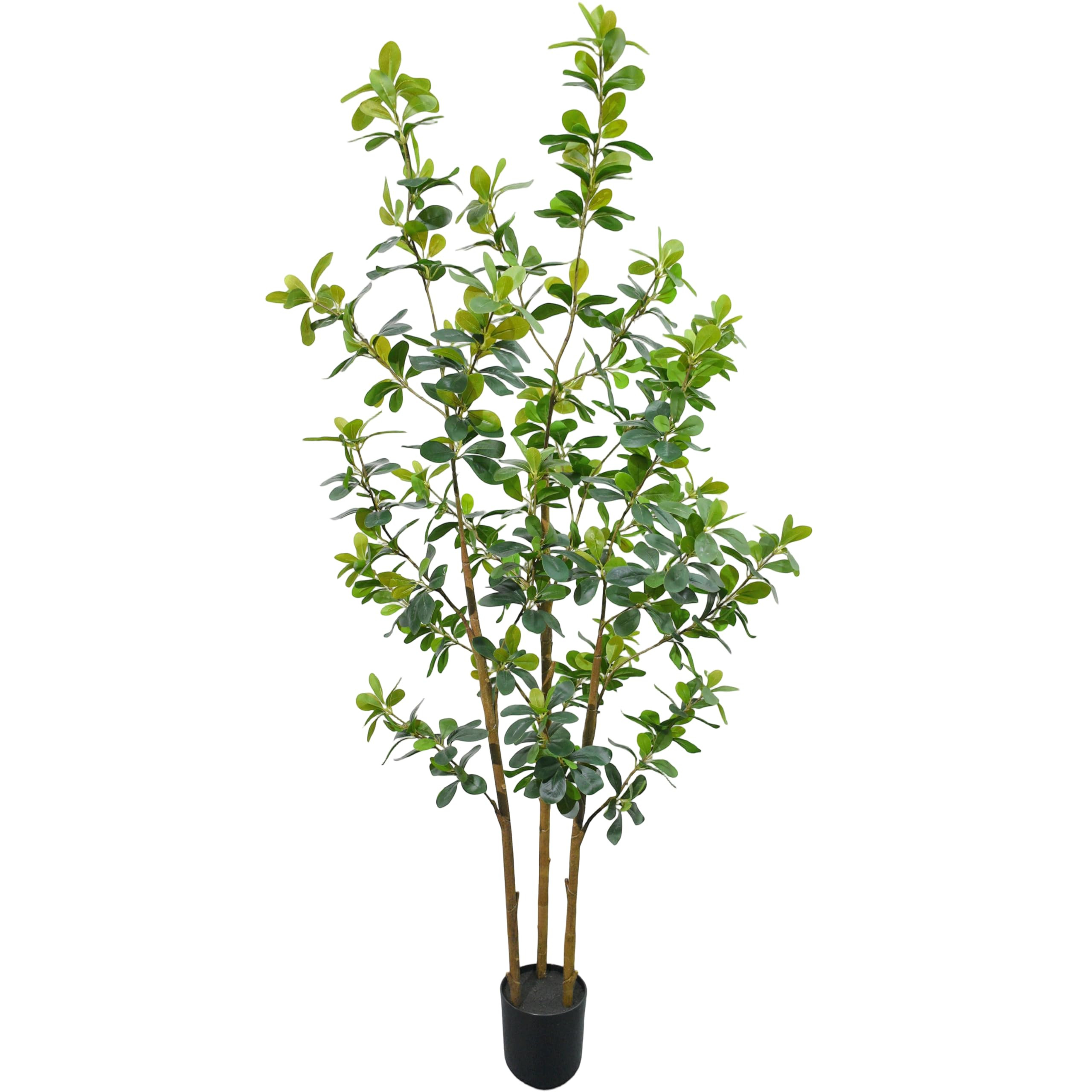 5ft Large Realistic Artificial Black Olive Tree - Lifelike Faux Silk Plant with 3 Trunks in Pot f... | Amazon (US)