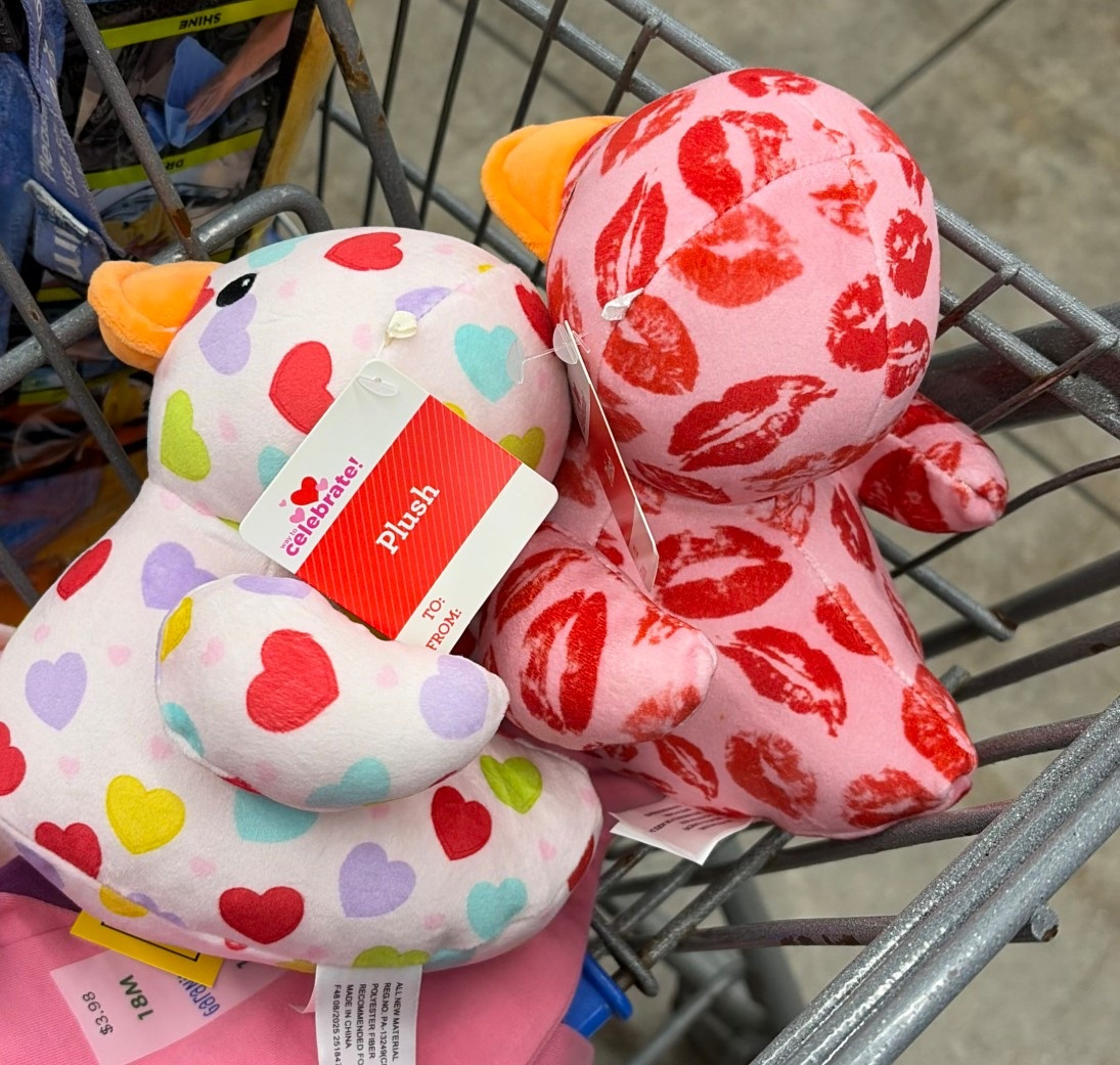 These are great additions to your Valentine boxes for your little! I got both of these stuffed ducks for my daughters valentine basket!

#LTKU #LTKKids #LTKFindsUnder50