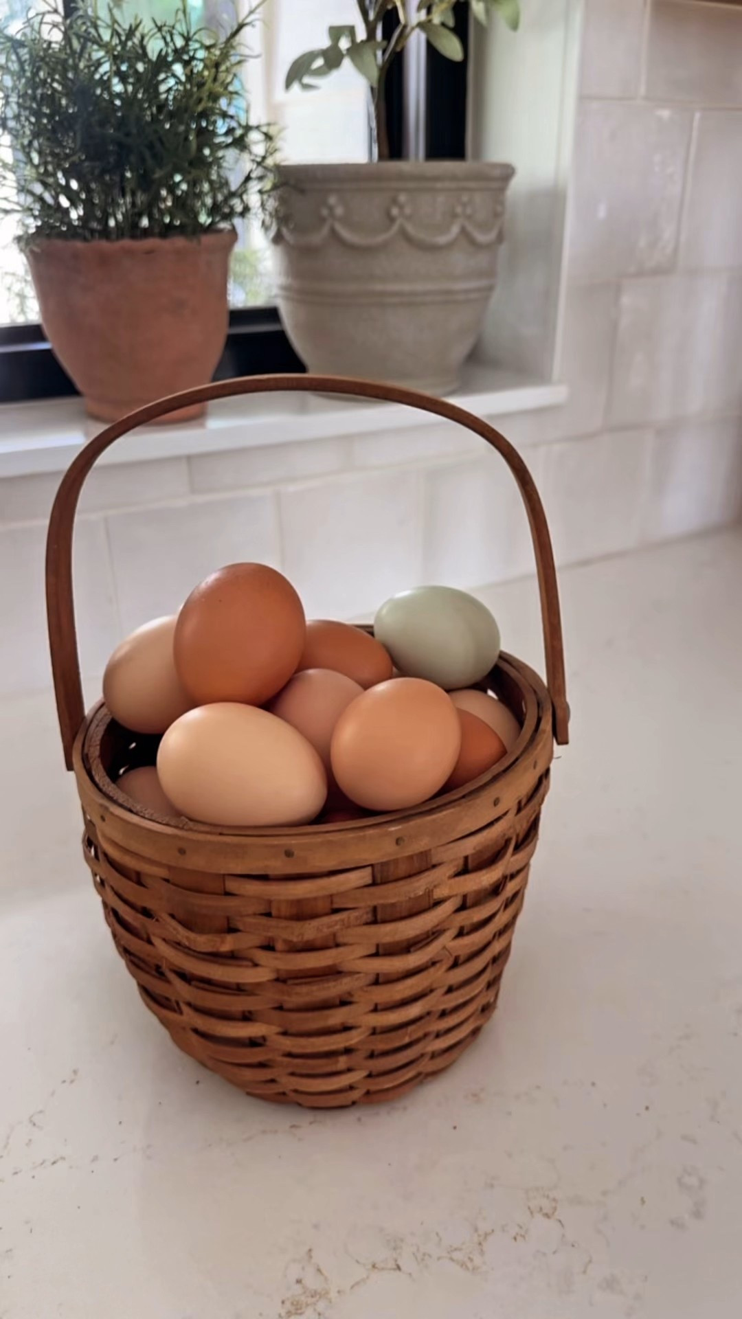 The Walmart planters are INCREDIBLE!!

#LTKFindsUnder50 #LTKHome #LTKdayinmylife