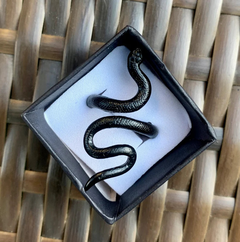 Taylor Swift Reputation Inspired Snake Ring / Black Snake / Gift for Swiftie - Eras Tour | Etsy (US)