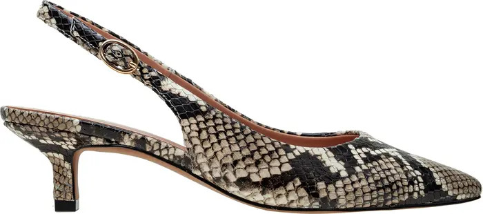 Linea Paolo Cecil Slingback Pointed Toe Kitten Heel Pump | Nordstrom | Nordstrom