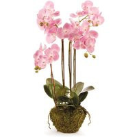 Pink Orchid Faux Drop-In | Cailini Coastal