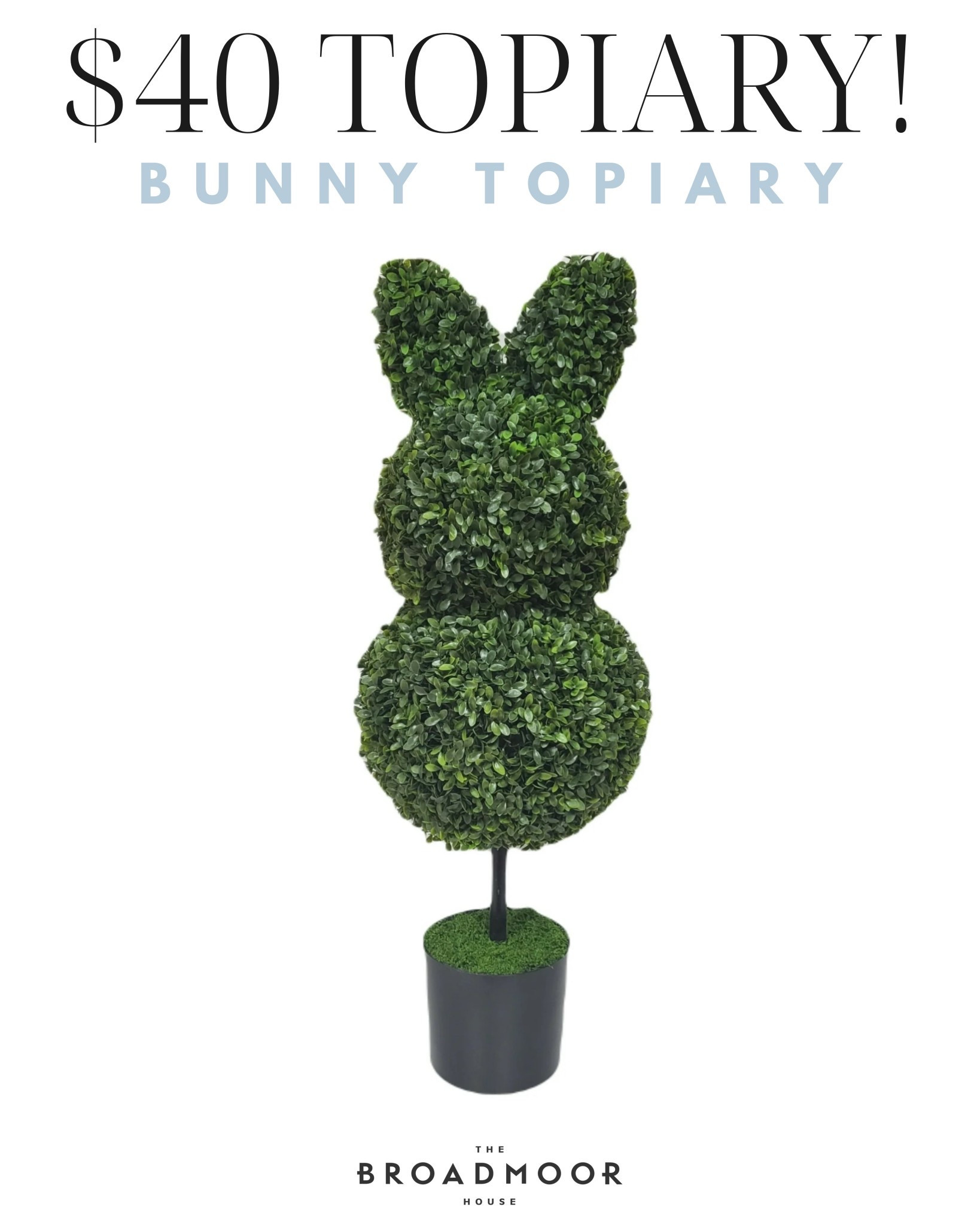 The cutest spring topiary!!

#LTKHome #LTKSeasonal