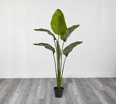 Faux Potted Travellers Palm Tree | Pottery Barn (US)