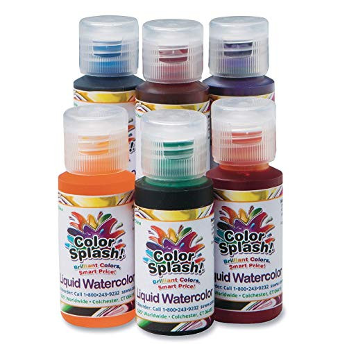 S&S Worldwide PT3253 Liquid Watercolors, Grade:1 to 12, (Pack of 6) | Amazon (US)