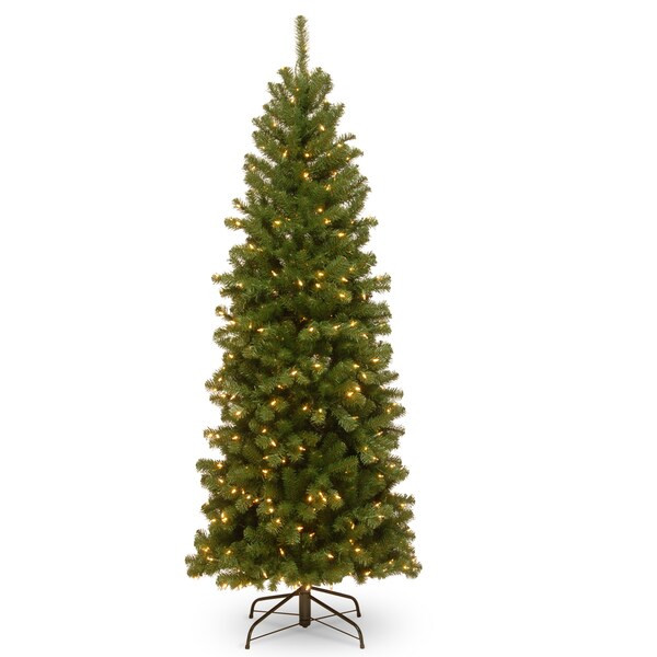 6 ft. North Valley Spruce Pencil Slim Tree with Clear Lights | Bed Bath & Beyond